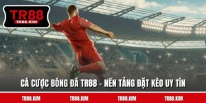 Cá Cược Bóng Đá TR88 - Nền Tảng Đặt Kèo Uy Tín