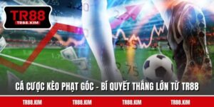 Cá Cược Kèo Phạt Góc - Bí Quyết Thắng Lớn Từ TR88