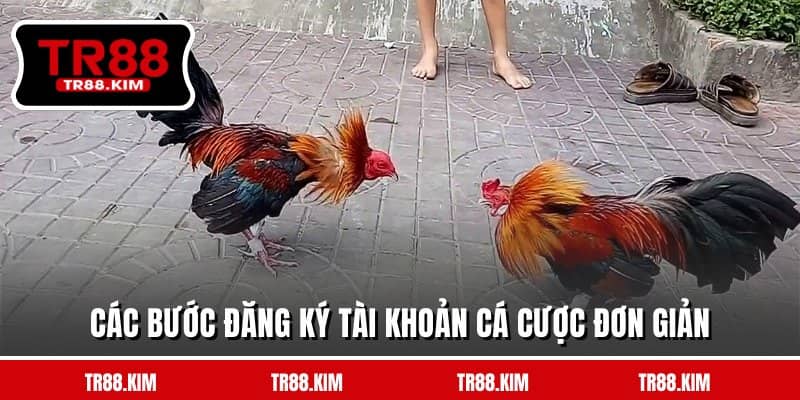 Các bước đăng ký tài khoản cá cược đơn giản Các bước đăng ký tài khoản cá cược đơn giản