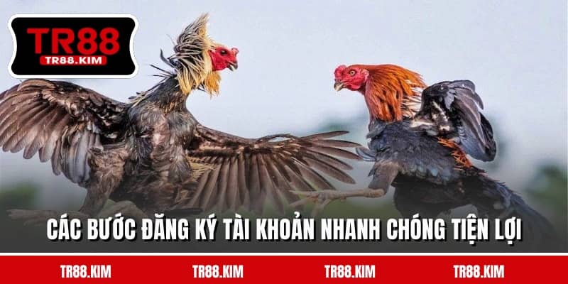 Các bước đăng ký tài khoản nhanh chóng tiện lợi