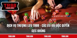 Dịch Vụ Thượng Lưu TR88 - Các Ưu Đãi Độc Quyền Cực Khủng