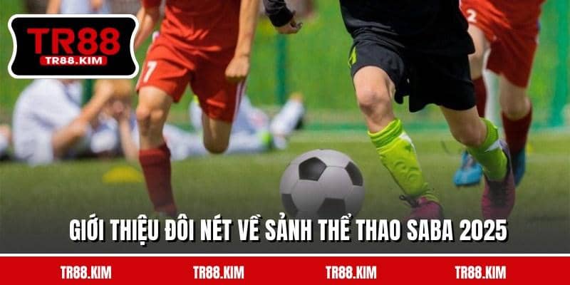 Giới thiệu đôi nét về sảnh thể thao saba 2025 Giới thiệu đôi nét về sảnh thể thao saba 2025