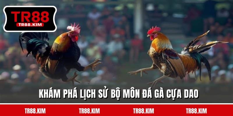 Khám phá lịch sử bộ môn đá gà cựa dao Khám phá lịch sử bộ môn đá gà cựa dao