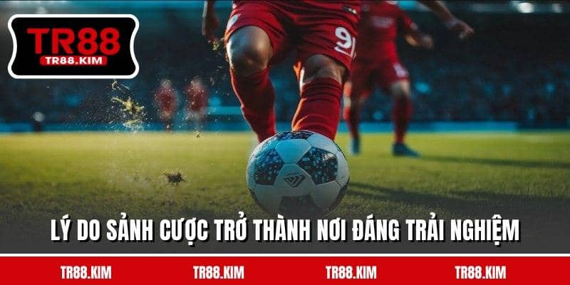 Lý do sảnh cược trở thành nơi đáng trải nghiệm Lý do sảnh cược trở thành nơi đáng trải nghiệm