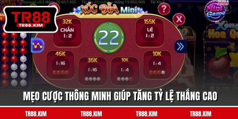 Mẹo cược thông minh giúp tăng tỷ lệ thắng cao