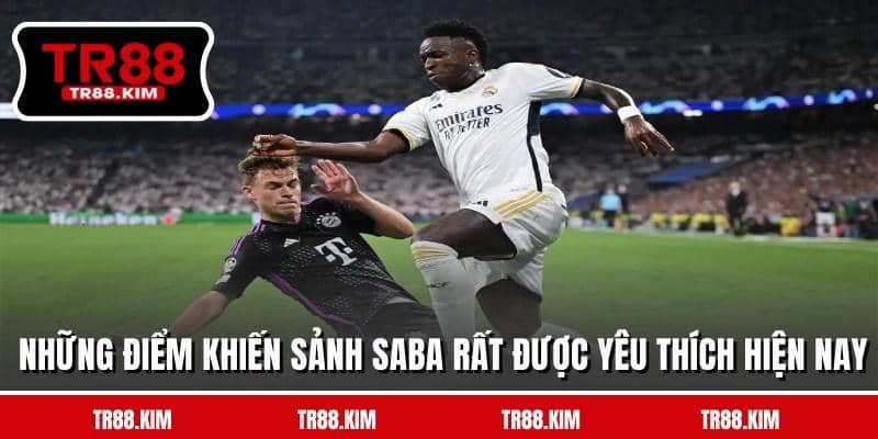 Những điểm khiến sảnh saba rất được yêu thích hiện nay Những điểm khiến sảnh saba rất được yêu thích hiện nay