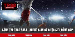 Sảnh Thể Thao Saba - Không Gian Cá Cược Siêu Đẳng Cấp 