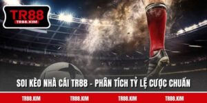 Soi Kèo Nhà Cái TR88 - Phân Tích Tỷ Lệ Cược Chuẩn