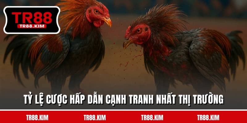 Tỷ lệ cược hấp dẫn cạnh tranh nhất thị trường