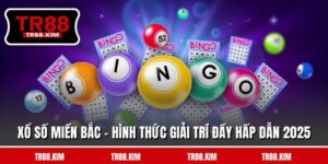 Xổ Số Miền Bắc - Hình Thức Giải Trí Đầy Hấp Dẫn 2026