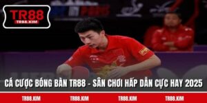 Cá Cược Bóng Bàn TR88 - Sân Chơi Hấp Dẫn Cực Hay 2026