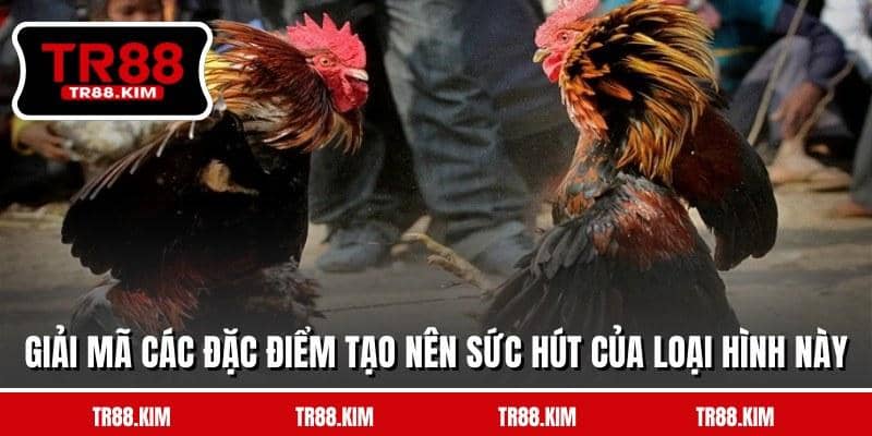 Giải mã các đặc điểm tạo nên sức hút của loại hình này Giải mã các đặc điểm tạo nên sức hút của loại hình này