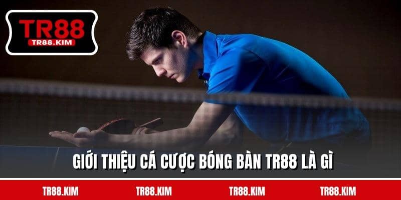 Giới thiệu cá cược bóng bàn TR88 là gì