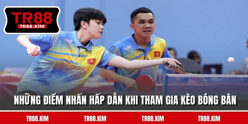 Những điểm nhấn hấp dẫn khi tham gia kèo bóng bàn