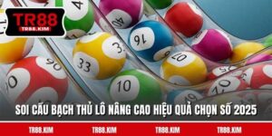 Soi Cầu Bạch Thủ Lô Nâng Cao Hiệu Quả Chọn Số 2026